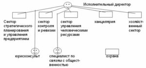 Исполнительный директор и управляющий различие